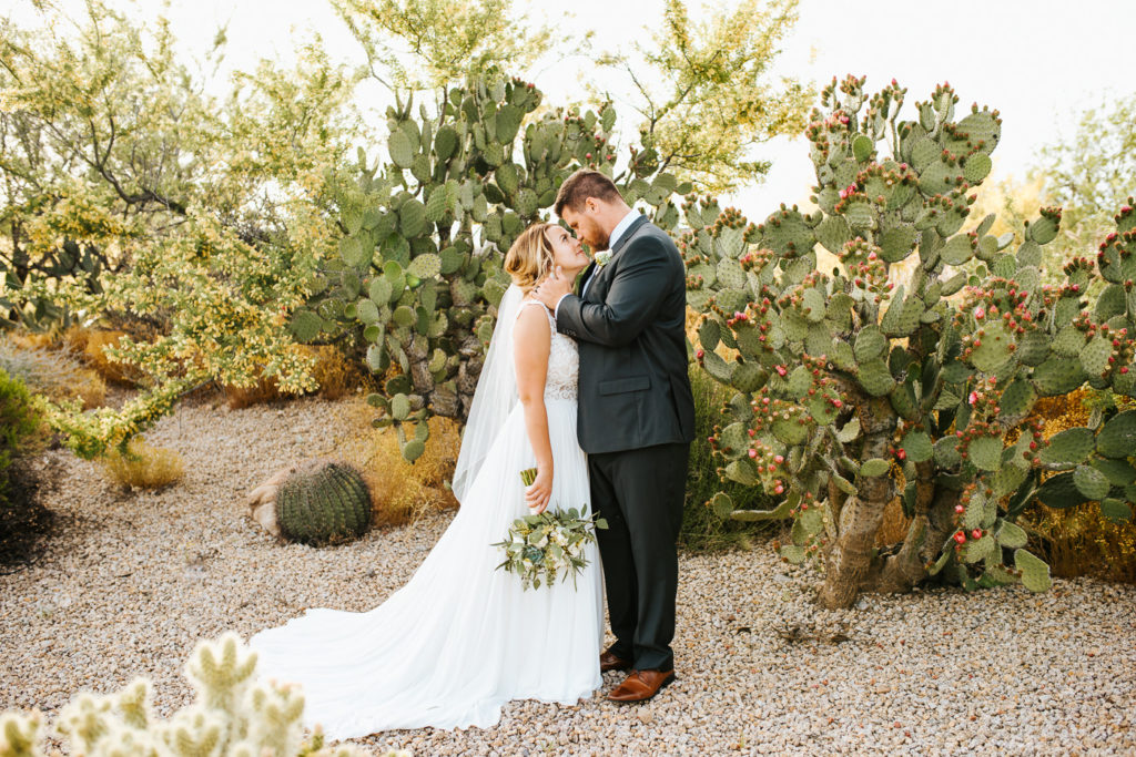 Arizona bride and groom in cacti