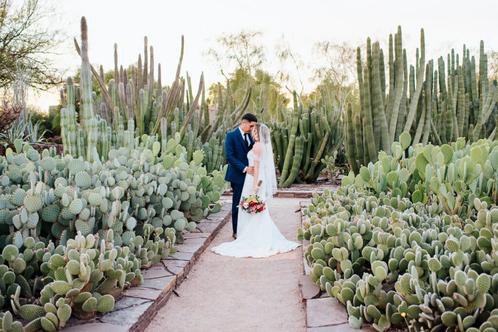 Phoenix wedding at Desert Botanical Garden