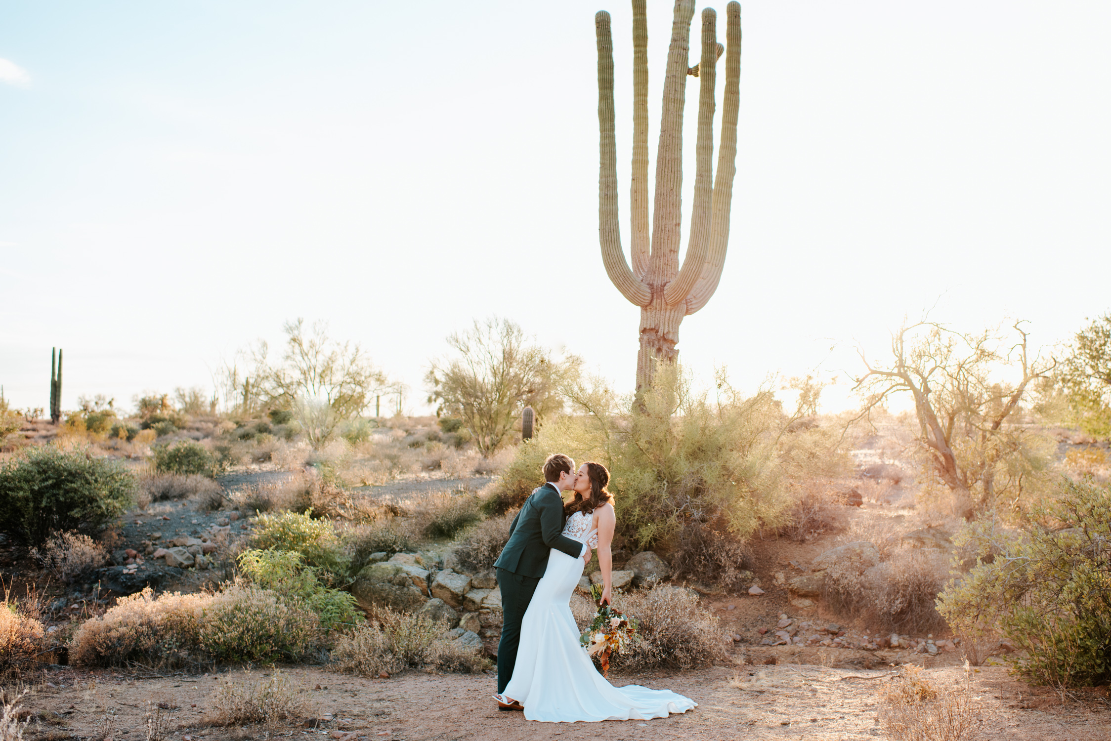 A couple at the Paseo wedding venue in Phoenix, kissing in front of a Saguaro cactus.