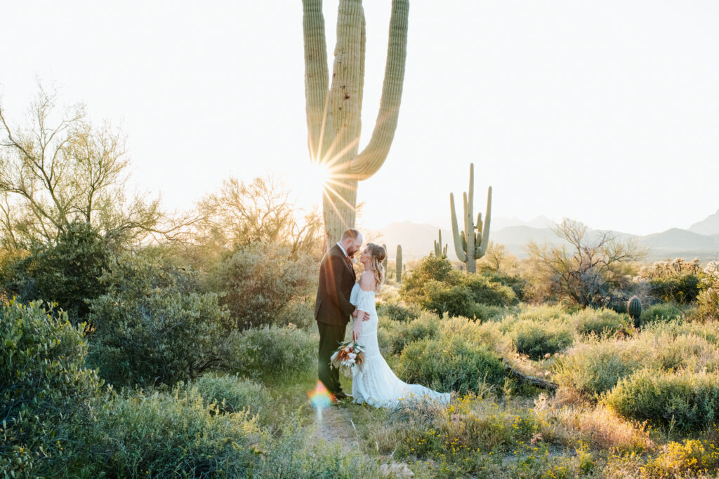 A couple standing in front of a Saguaro cactus as they elope in Phoenix.