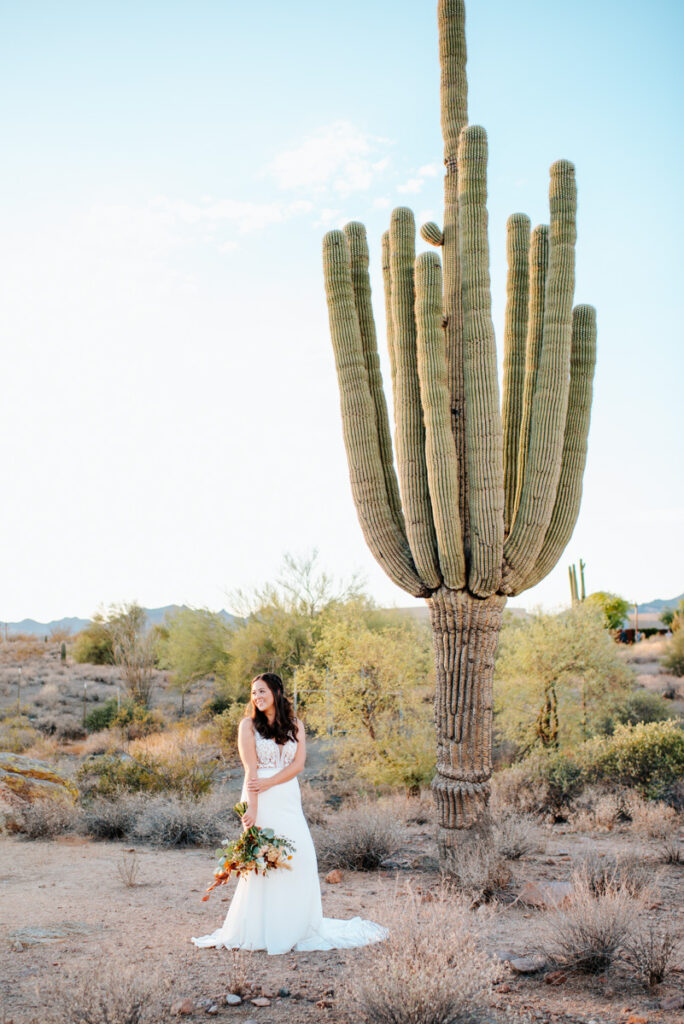 Arizona Bride at the Paseo